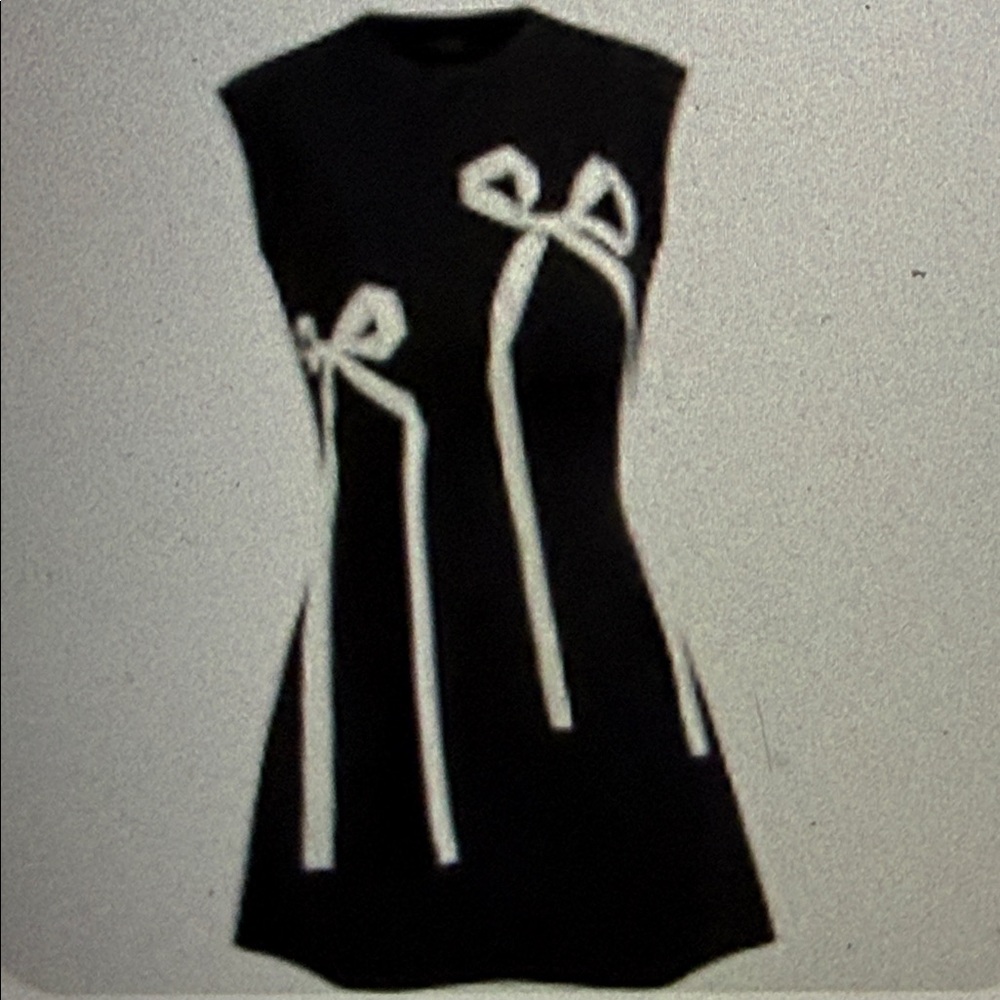 Cider Black Dress with White Bow